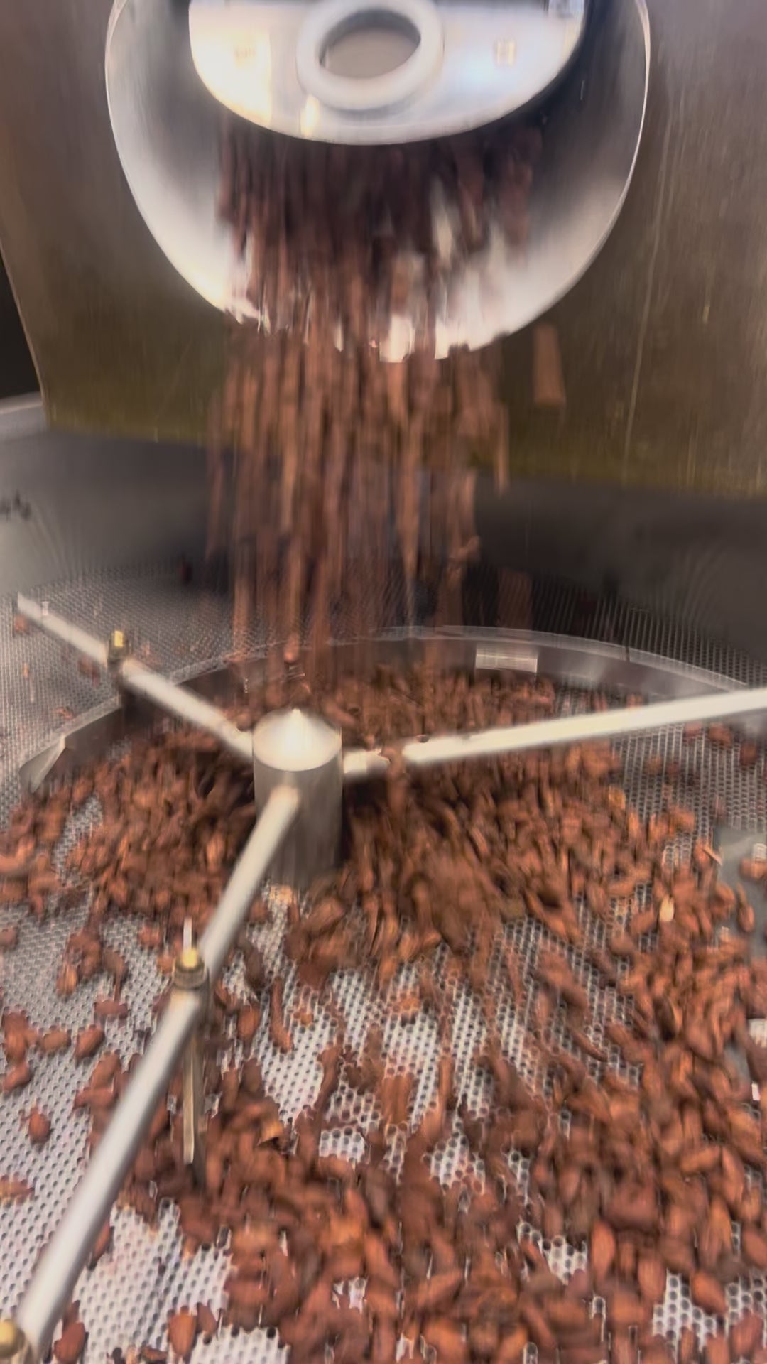 Cacao Brew